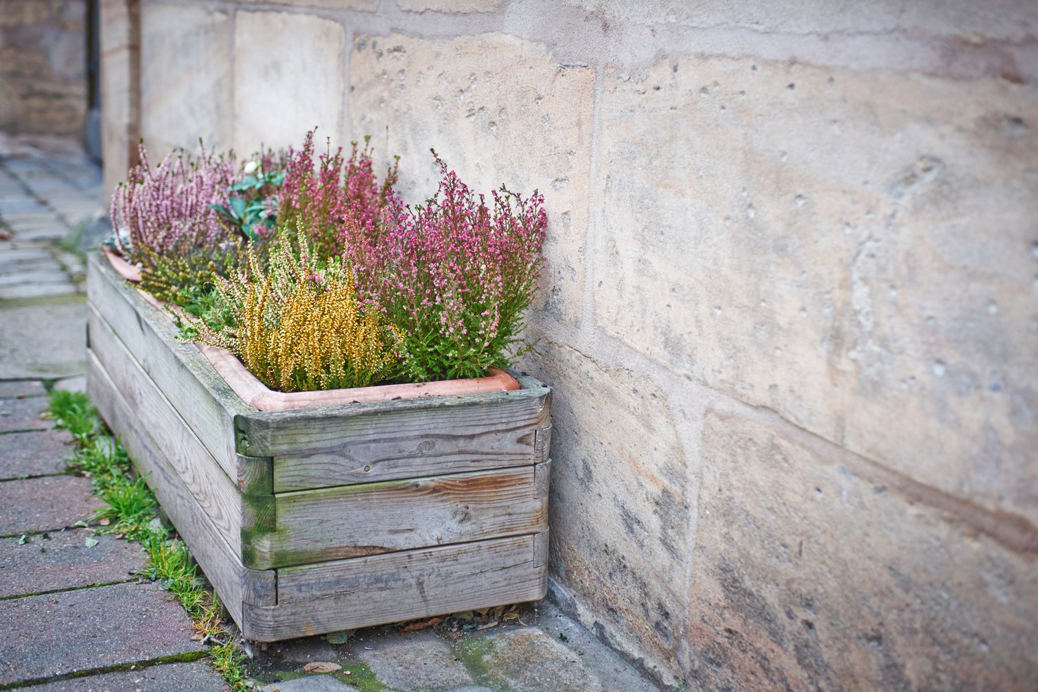 Planter box